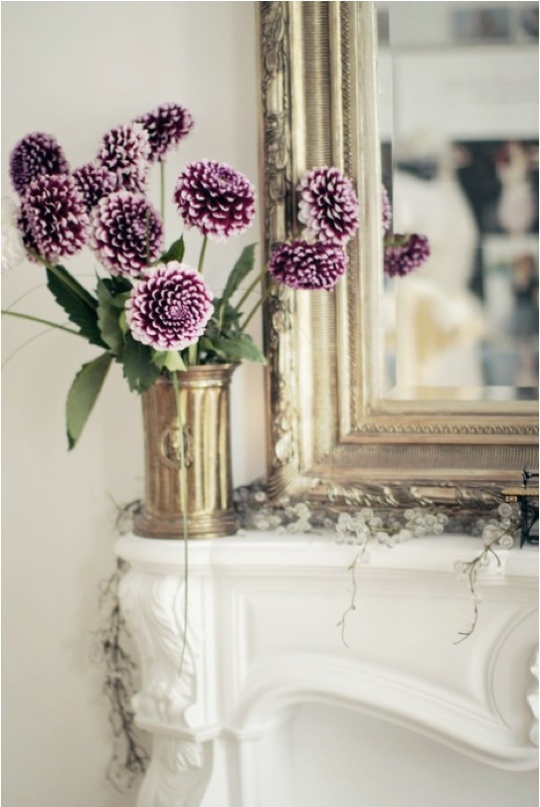 Gilt Edge & Vibrant Purple Flowers
