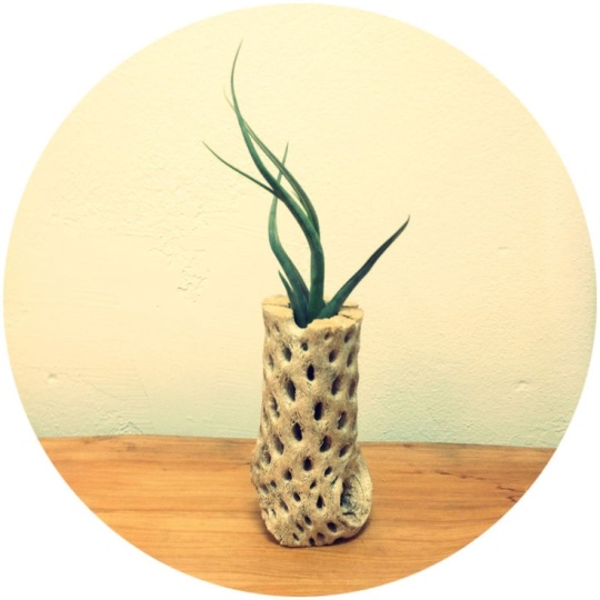 Desert Vase & Cactus